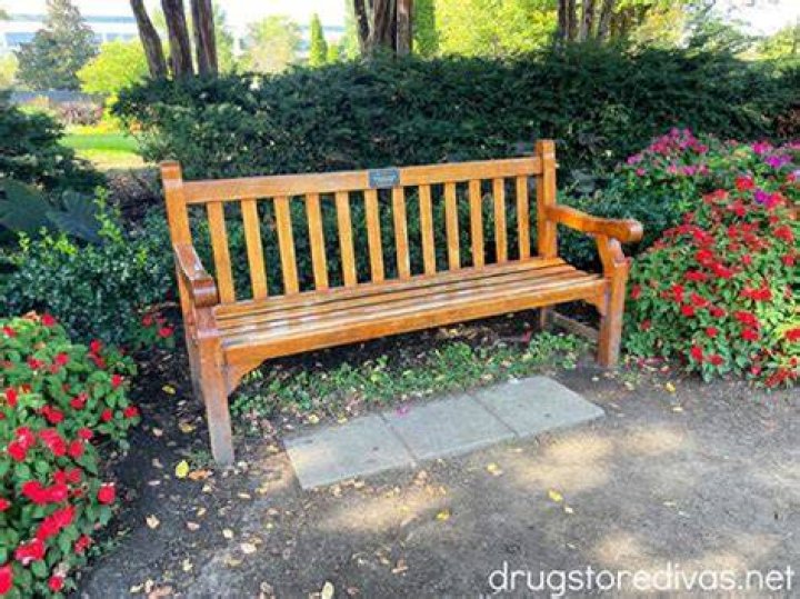 Bench at Centennial Park dedicated to Taylor Swift YouTube
