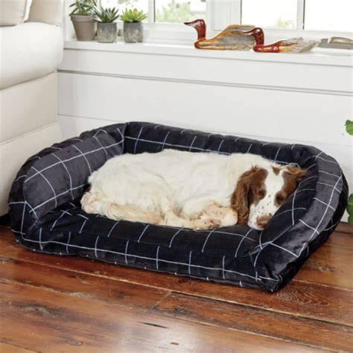 Best Dog Bed For Chewers One He Can't Get His Teeth Into!