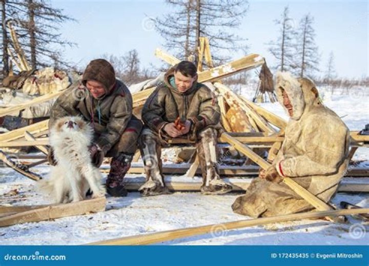 Far North of Yamal, Tundra, Pasture Nord Reindeers, Family of Reindeer