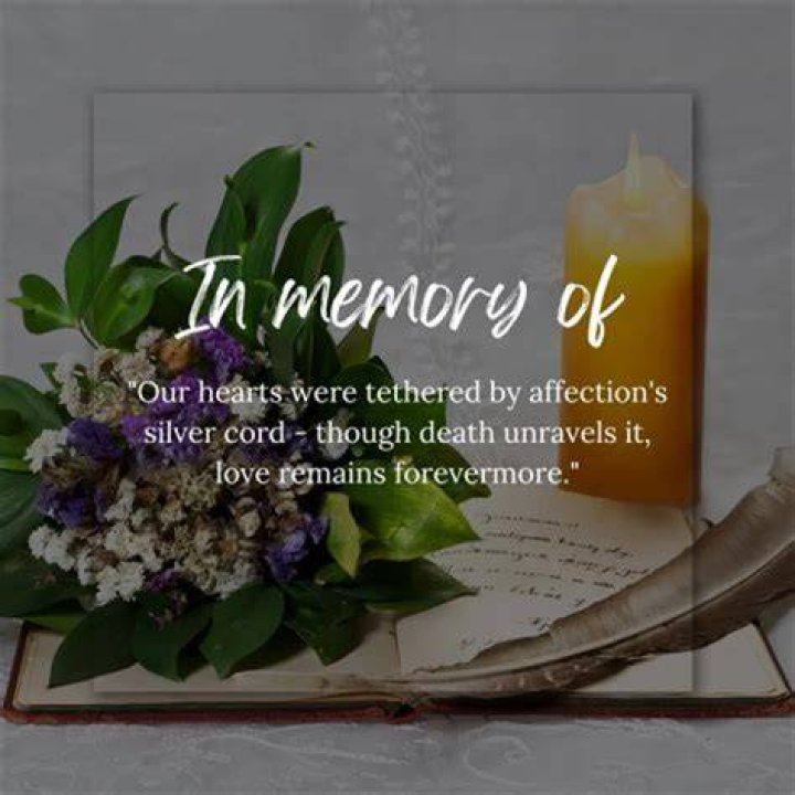 In Memoriam: The Life And Legacy Of Hayden Wolf