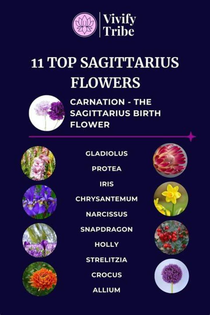The Unforgettable Sagittarius Flower: A Guide To Its Meaning And Benefits